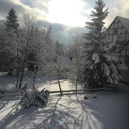 Appartement An Der Erlebniskappe Mit Fahrradkeller Winterberg Exterior foto
